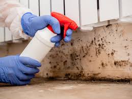 Trusted Valley Green, PA Mold Removal Experts